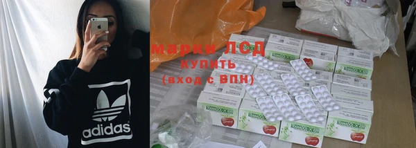хмурый Магас
