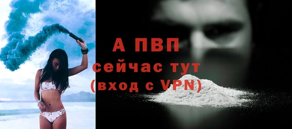 гашик Майский