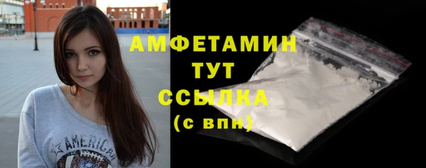 хмурый Магас