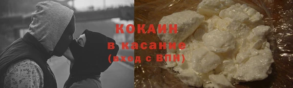 хмурый Магас