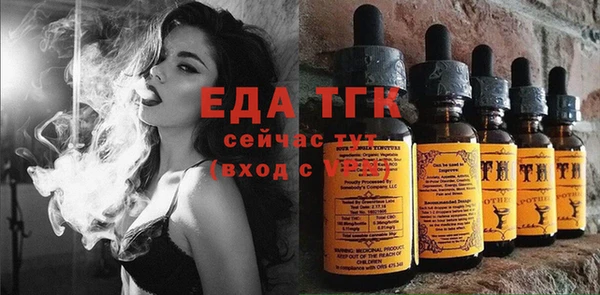 хмурый Магас