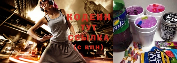 хмурый Магас