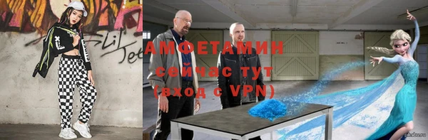 хмурый Магас
