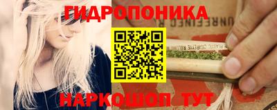 apvp Гагарин