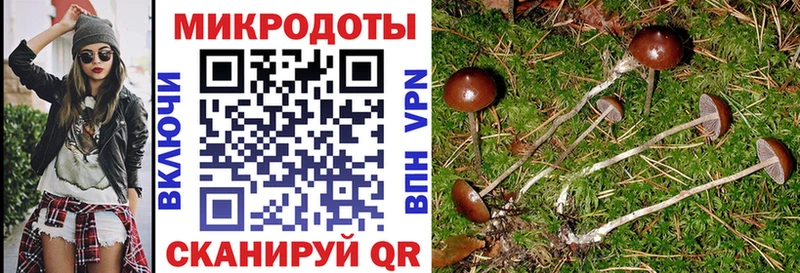 Псилоцибиновые грибы ЛСД  наркотики  Чистополь 