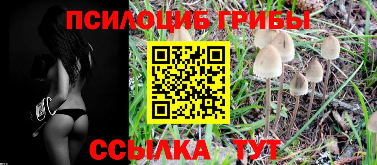 Псилоцибиновые грибы Magic Shrooms Чистополь