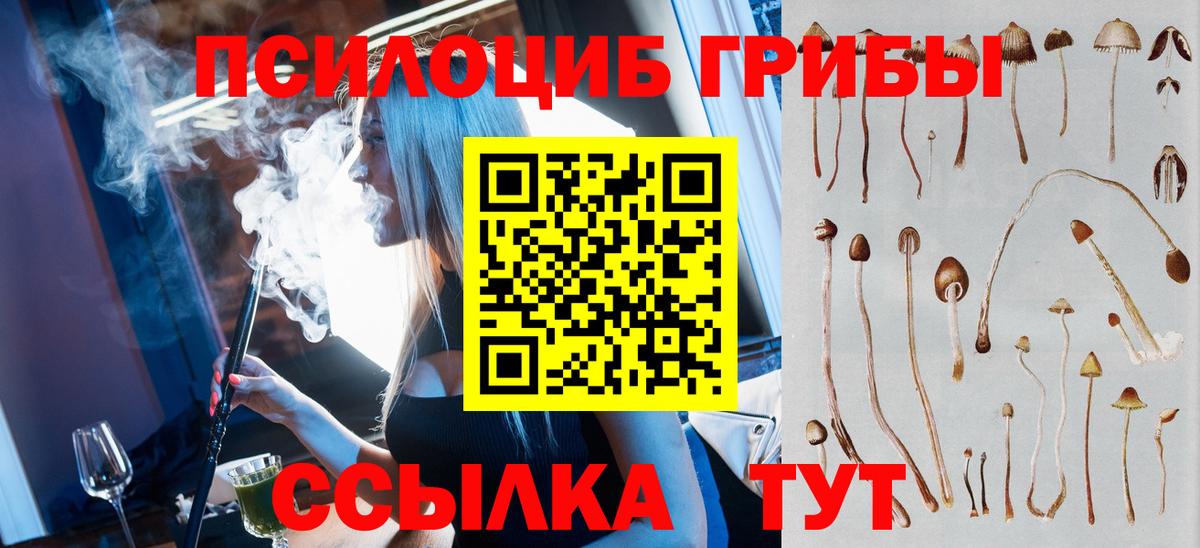 Галлюциногенные грибы MAGIC MUSHROOMS  Вход с VPN  Чистополь 